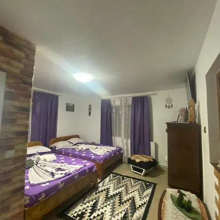 Casa Cristian Penzion Două Mai