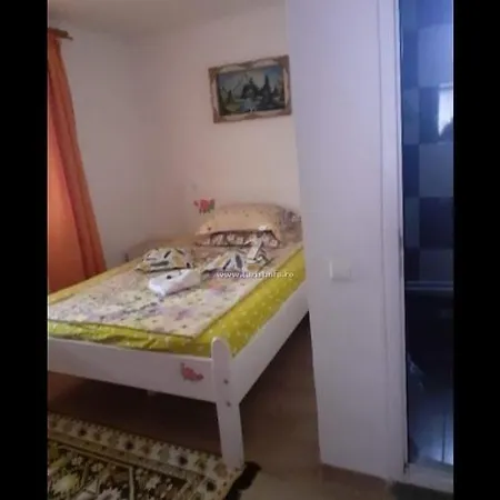 Guest house Casa Cristian 2 Mai