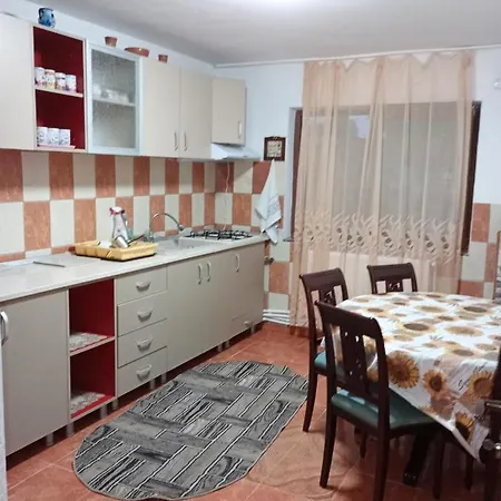Casa Cristian 2 Mai