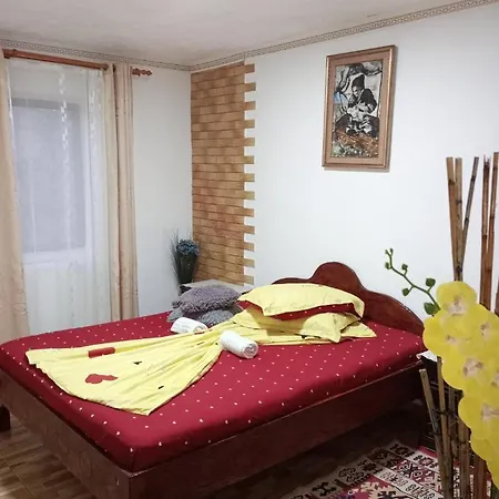 Casa Cristian Guest house 2 Mai