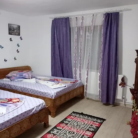 Casa Cristian Guest house *