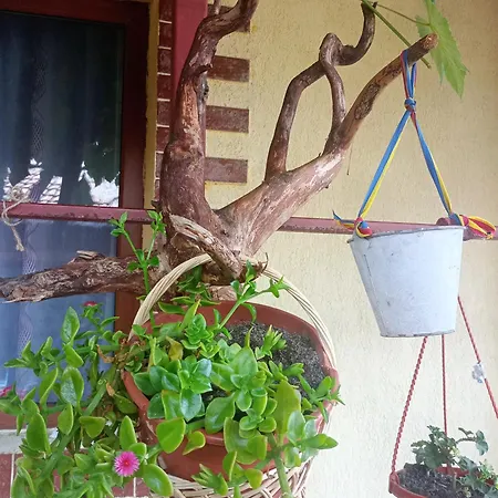Casa Cristian * ドウア・マ