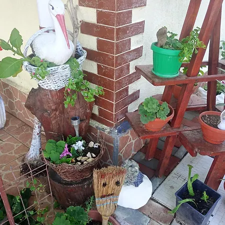 Guest house Casa Cristian