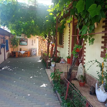 Guest house Casa Cristian 2 Mai