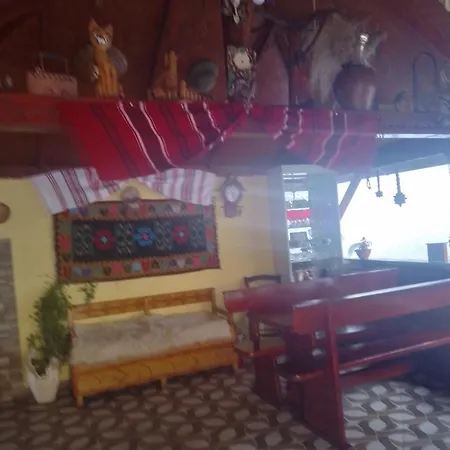 Guest house Casa Cristian *