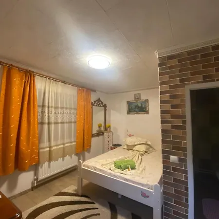 Guest house Casa Cristian