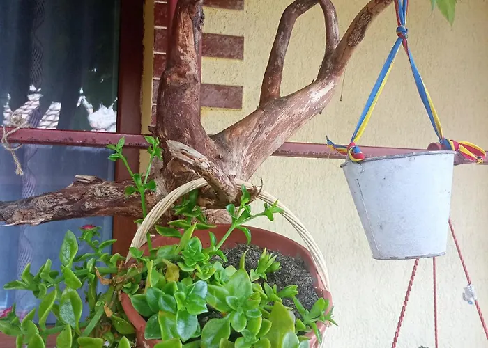 Casa Cristian * 2 Mai