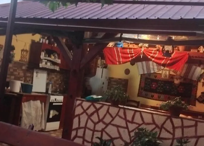 Casa Cristian Guest house *